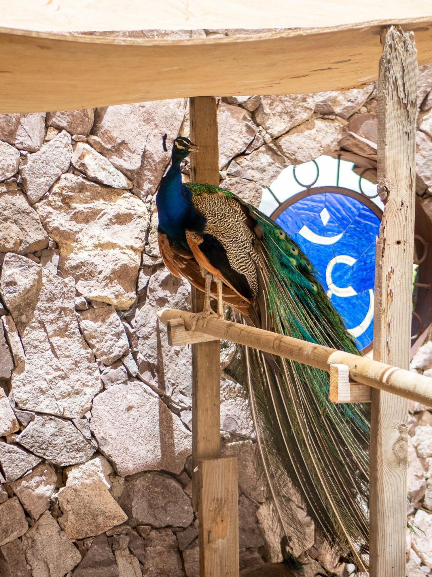 Posada Balaprada Guest House Ensenada Ngoại thất bức ảnh