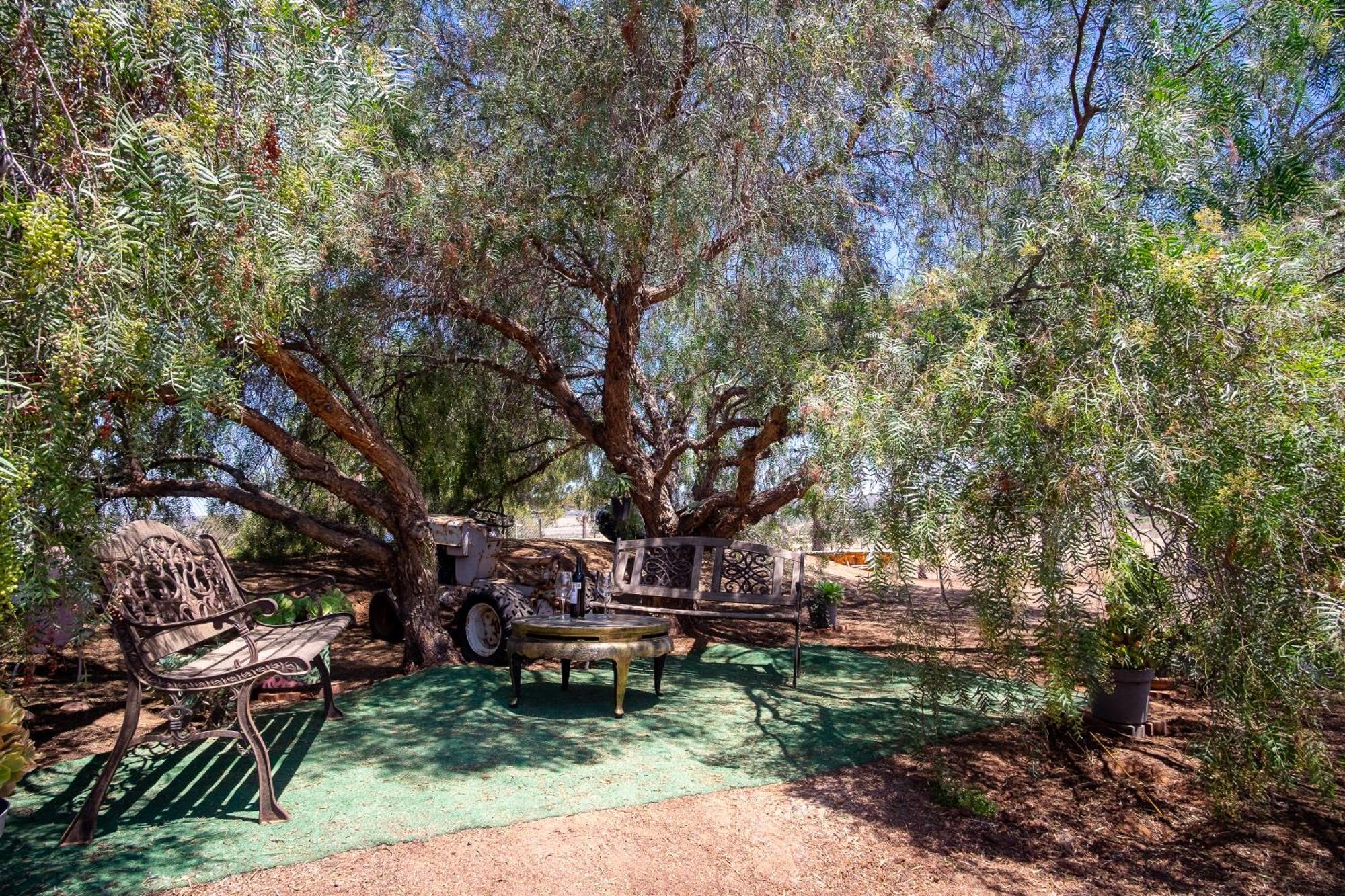 Posada Balaprada Guest House Ensenada Ngoại thất bức ảnh
